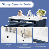 Bathroom Vanity With Top Sink, 2 Drawers, Tip Out Drawer
