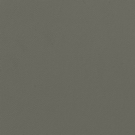 Cleo - Dining Chair (Set of 2) - Gray
