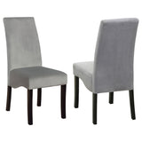 Stanton Grey Velvet Dining Side Chair, Set of 2