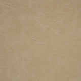 Ortega Upholstered Dining Side Chair Tan (Set of 2)
