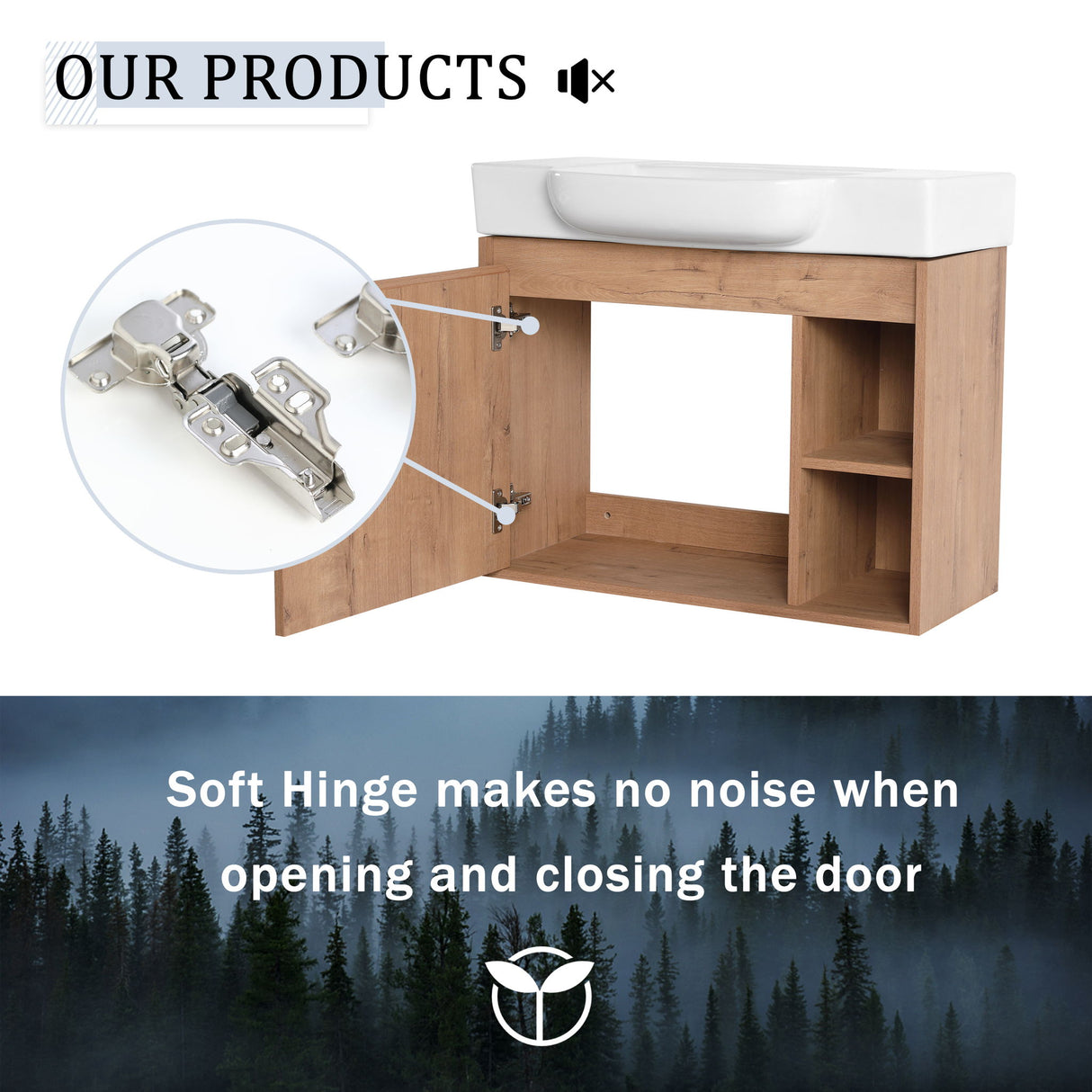 Wall Mounted Bathroom Vanity & Sink & Soft Close Door