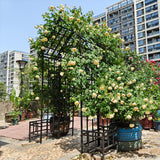 Garden Arch With Adjustable & Climbing Plants Support - Black