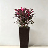 Large Self Watering Flower Pot With Drainage Holes & Inner Tray