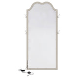 Colwood - Full Floor Mirror With LED Lighting And Storage Hooks - Silver