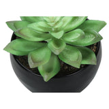 Artificial Succulent Plants (Set of 3)
