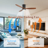52" Reversible Ceiling Fan With Dimmable Light And Remote Control, DC Motor, Memory Function - Matte Black