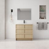 Freestanding Bathroom Vanity With Sink & 2 Soft Close Cabinet Doors