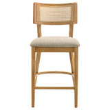 Fabra Cane Back Counter Height Chair, Honey/Wheat (Set of 2)