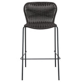 McKinley Faux Rattan Metal Bar Chair Brown (Set of 2)
