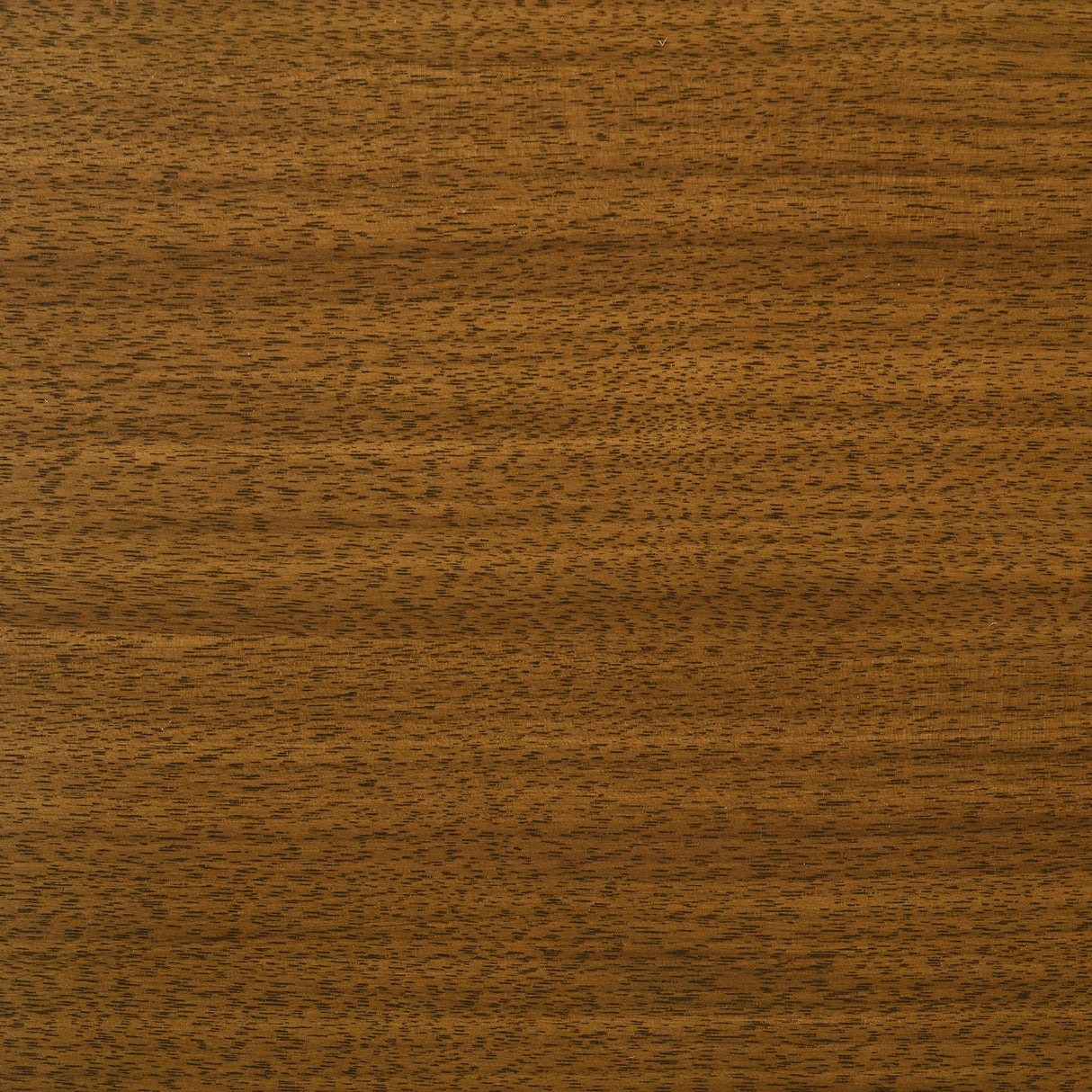 Galindo 52" Round Walnut Veneer Dining Table