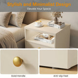 Nightstand With Door & Shelf, 2 Drawer Side Table