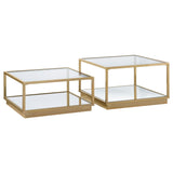 Emeline - 2 Piece Coffee Table Set - Brushed Brass
