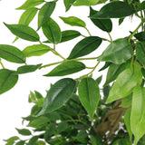 Artificial Ficus Tree With Pot For Home Decor Indoor Plant - Green