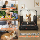 Small Dog Treadmill, Low Noise Pet Exercise Machine For Indoor Puppy Training, Portable Running Wheel - Black