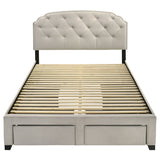 4 Drawer Upholstered Storage Bed With Button Tufting