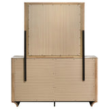 Leanne 6-Drawer Sintered Stone Top Dresser with Mirror, Light Oak