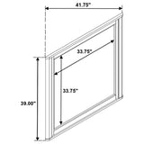 Leanne Dresser Mirror Light Oak