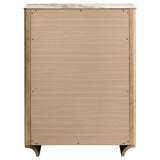 Leanne 5-Drawer Chest with Sintered Stone Top, Light Oak