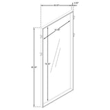 Durango 80-Inch Standing Floor Mirror in Washed Oak