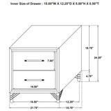 Lucia 2-Drawer Nightstand - Black with Metallic Trim