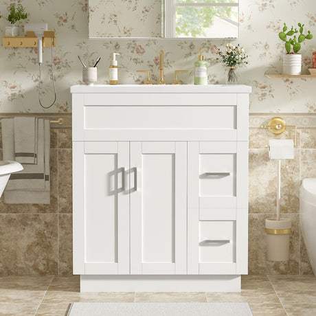 Bathroom Vanity With 2 Doors, 2 Drawers, Adjustable Shelf, Hidden Slides & Soft Close Hinges