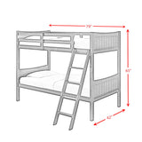 Sami - Bunk