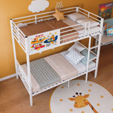 Bunk Bed, Convertible To 2 Separate Twin Size Beds With Full Length Guardrail & Ladder, No Box Spring Needed - White
