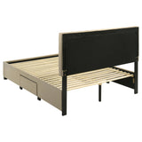 Orisa - 4 Drawer Storage Bed