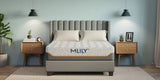Mlily Fusion Supreme - 11.5" Hybrid Luxury Mattress, Medium