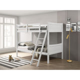 Sami - Bunk