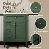 Bathroom Vanity With Top Sink, Storage Cabinet With 2 Drawers And Tip-Out Drawer