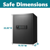 Home Safe, Fingerprint & Digital Keypad Lock, Security Cabinet