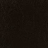 Dorian Faux Leather Upholstered Queen Panel Bed, Brown