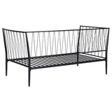 Richland Metal Twin Daybed, Matte Black