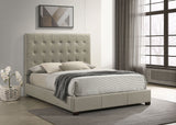 Medley Genuine Leather Queen Platform Bed in Tan