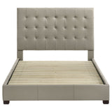 Medley Genuine Leather Queen Platform Bed in Tan