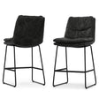 Danika - Counter Height Stool (Set of 2) - Stool Sets - Alpine Outlets