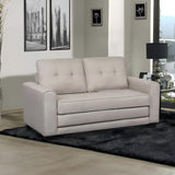 Upholstered Pull Out Sleeper Loveseat