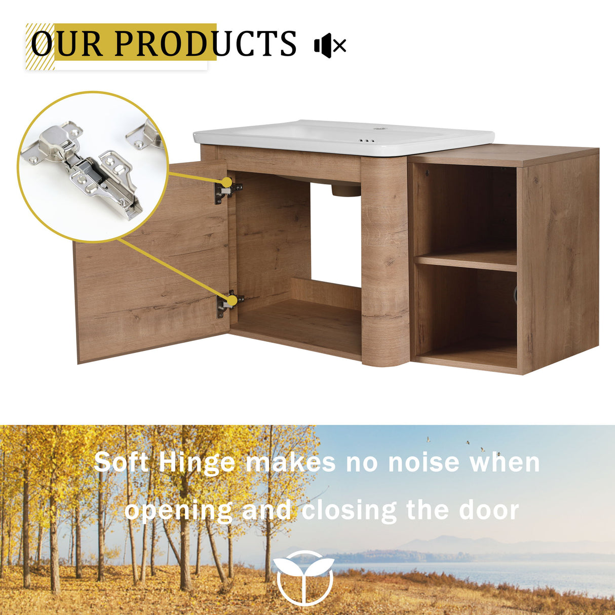 Wall Mounted Bathroom Vanity & Sink, Storage Shelves & Soft Close Door