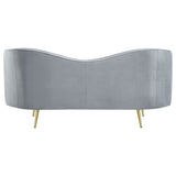 Sienna - 2 Piece Back Living Room Set, Sofa & Loveseat - Gray