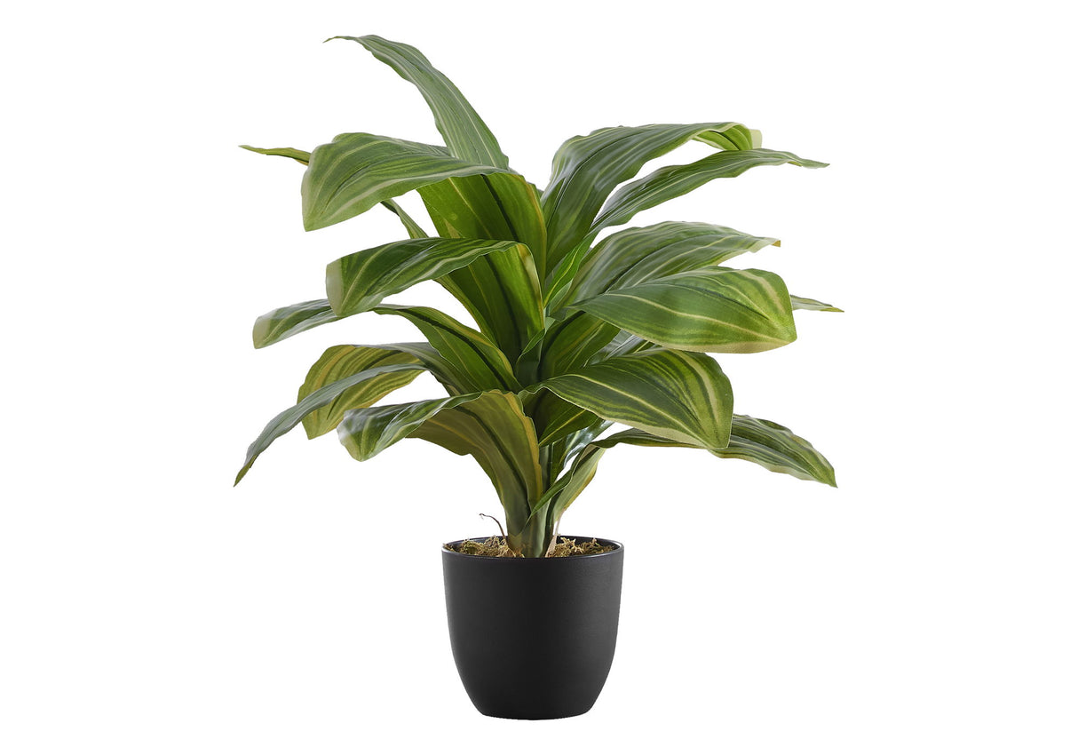 17" Tall, Artificial Plant, Dracaena, Indoor, Faux, Fake, Table, Greenery, Potted, Real Touch, Decorative - Green / Black - Plants - Alpine Outlets