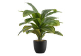 17" Tall, Artificial Plant, Dracaena, Indoor, Faux, Fake, Table, Greenery, Potted, Real Touch, Decorative - Green / Black - Plants - Alpine Outlets