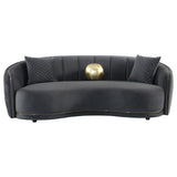 Lorraine - 2 Piece Upholstered Sofa Set With Tufting Trim - Dark Gray
