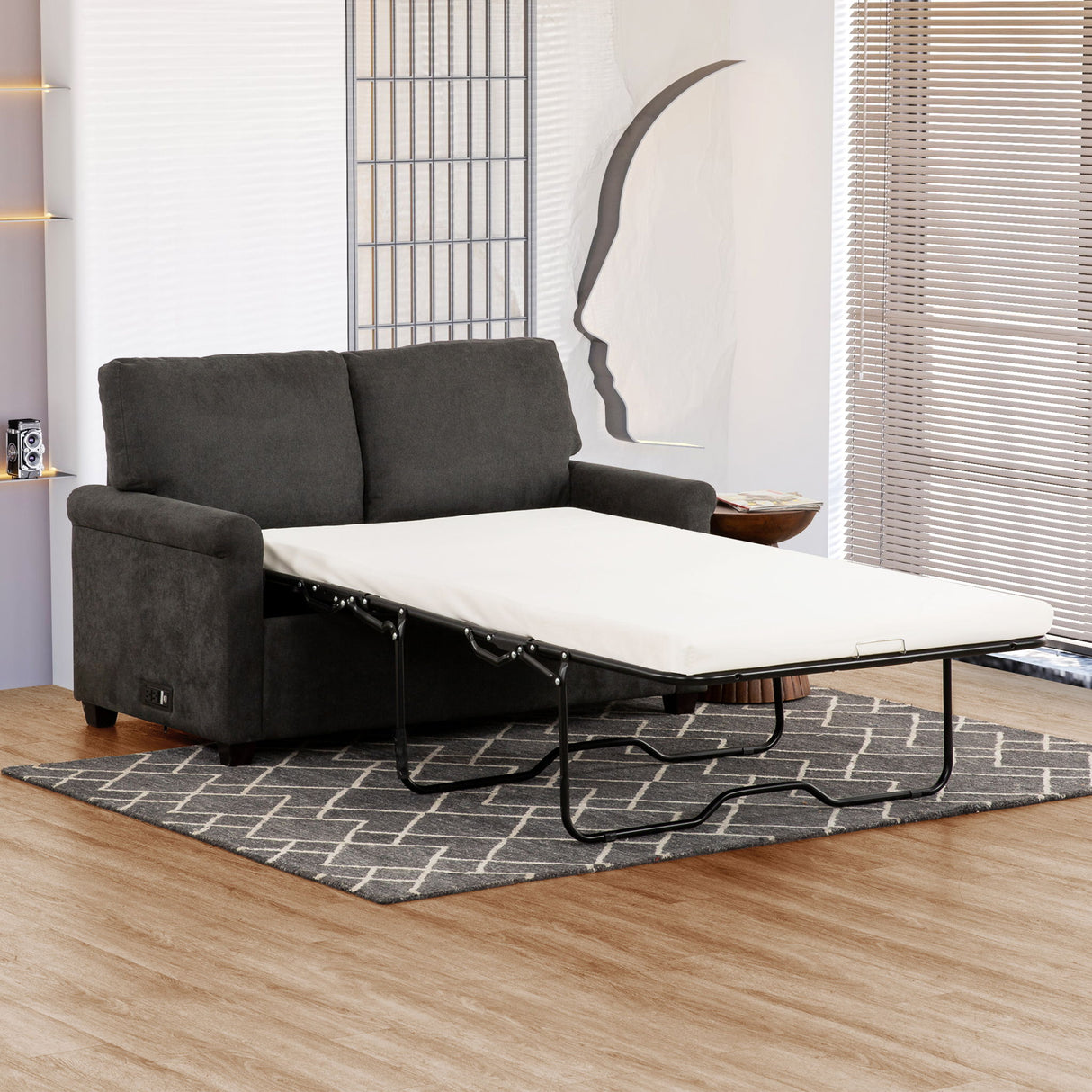 Convertible Twin Sleeper Sofa With USB Ports, 2 Seater Upholstered Loveseat - Dark Gray