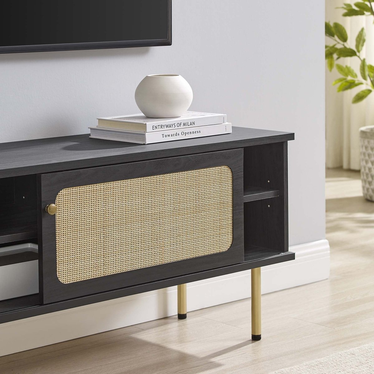 47 Inch Modern Rattan Sliding Door TV Stand - TV Stands available at Alpine Outlets in Denver
