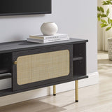 47 Inch Modern Rattan Sliding Door TV Stand - TV Stands available at Alpine Outlets in Denver