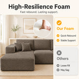 Modern L-Shaped Sectional Sofa With Left Facing Chaise