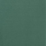 Elements Rae Lavish Green Velvet Accent Chair