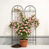 Garden Trellis, Rustproof Support For Climbing Plants