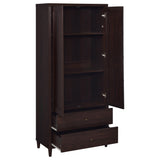 Nestor - 2 Drawer Tall Accent Cabinet With 2 Doors - Rustic
